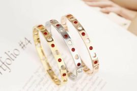 Picture of Tiffany Bracelet _SKUTiffanybracelet06cly5615243